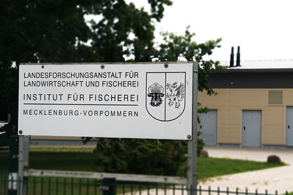sauerstoff7.jpg