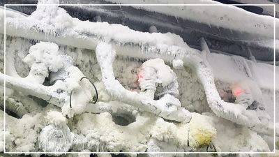 Bildvorschau_Temperatur_Messung_Cryo.jpg